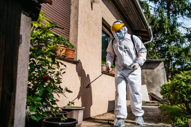 Wasp Removal Services in Farmington, PA