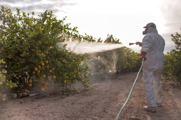 Best Best Pest Control Companies  in Farmington, PA