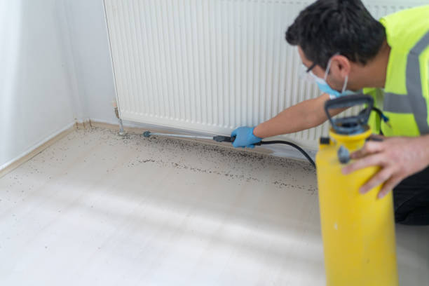 Best Pest Removal Services  in Farmington, PA