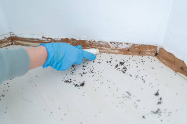 Best Pest Removal Services  in Farmington, PA