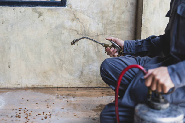 Best Pest Control Cost  in Farmington, PA