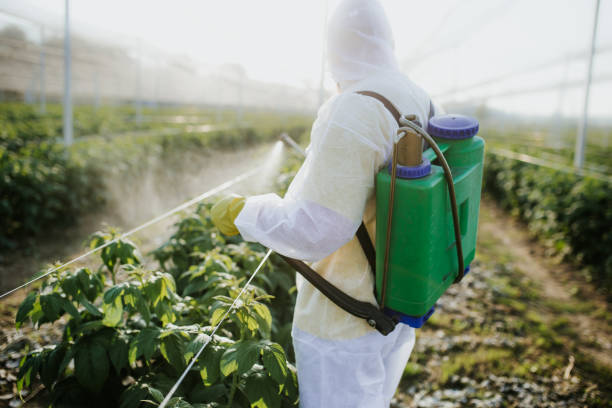 Best Affordable Pest Control Services  in Farmington, PA